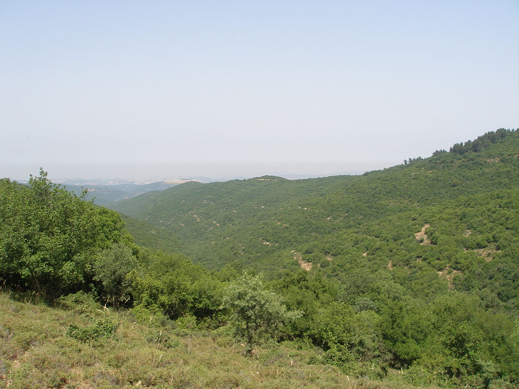 Upper_Galilee_